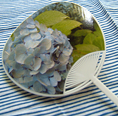 uchiwa s2 uchiwa s2