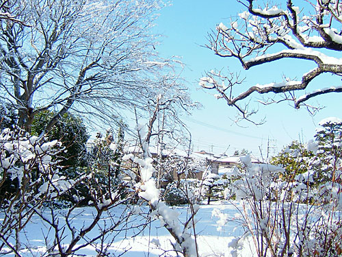 neve